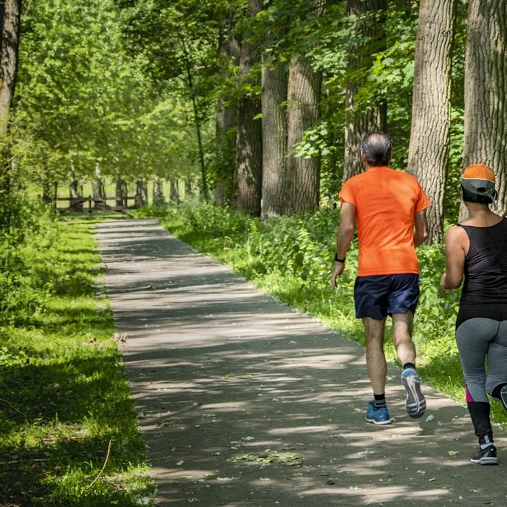 Mindfulness and relaxation practice